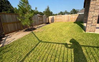 Photo of David E.'s yard after getting lawn care in Willis, TX