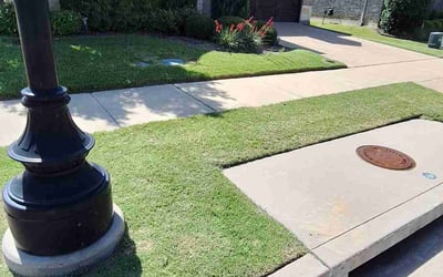 Photo of Patricia K.'s yard after getting lawn care in Norwalk, CT