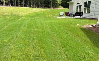 Photo of Leslie N.'s yard after getting lawn care in Franklin, IN