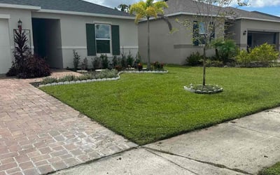 Photo of Jo B.'s yard after getting lawn care in Chelmsford, MA