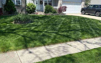 Photo of Meredyth G.'s yard after getting lawn care in Orem, UT