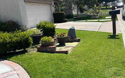 Photo of Elizabeth P.'s yard after getting lawn care in La Habra, CA