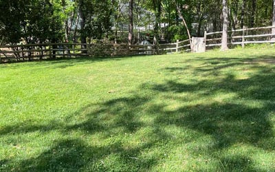 Photo of Vanessa Y.'s yard after getting lawn care in Rock Hill, SC