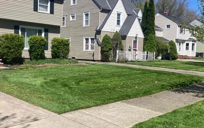 Photo of Amy M.'s yard after getting lawn care in Lagrange, OH