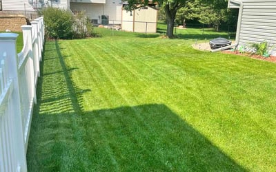 Photo of Val B.'s yard after getting lawn care in Minneapolis, MN