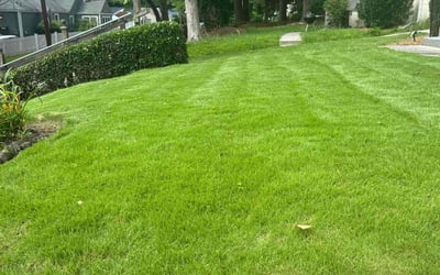 Photo of Jeff M.'s yard after getting lawn care in Westfield, MA
