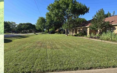 Photo of Nick D.'s yard after getting lawn care in Red Oak, TX