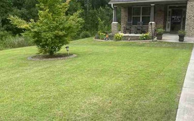 Photo of Jackie G.'s yard after getting lawn care in Grovetown, GA