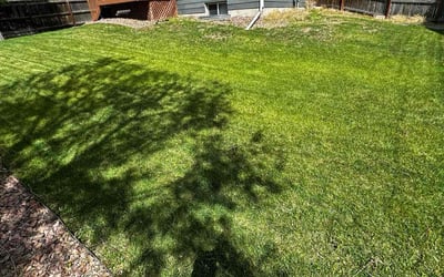 Photo of Jeff R.'s yard after getting lawn care in Black Forest, CO