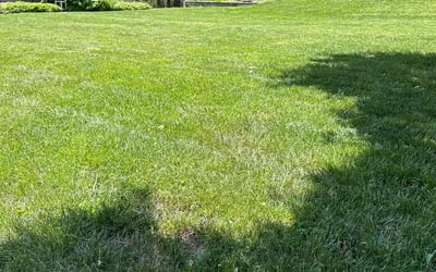 Photo of Holly K.'s yard after getting lawn care in Elkins Park, PA
