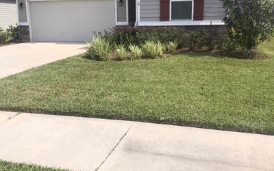 Photo of Kortnye K.'s yard after getting lawn care in Middleburg, FL