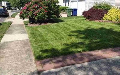 Photo of Karen H.'s yard after getting lawn care in Browns Mills, NJ