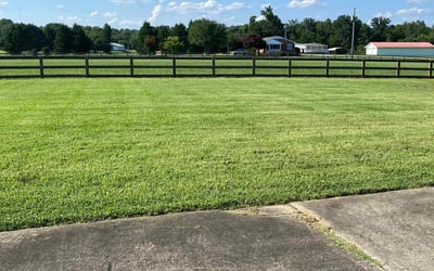 Photo of Brenda J.'s yard after getting lawn care in Fort Collins, CO