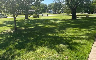 Photo of Eryq S.'s yard after getting lawn care in Chesterfield, MO
