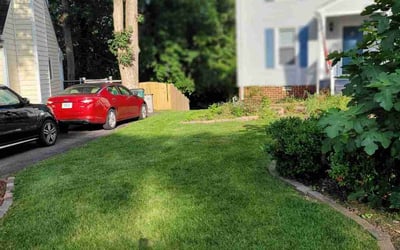 Photo of Jeannette L.'s yard after getting lawn care in Charles City, VA