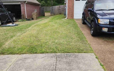 Photo of Kathryn M.'s yard after getting lawn care in Brookline, MA