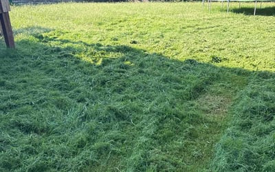 Photo of JOANN A.'s yard after getting lawn care in Soddy Daisy, TN