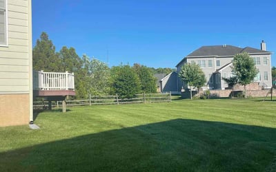 Photo of Deanne F.'s yard after getting lawn care in Wilmington, DE