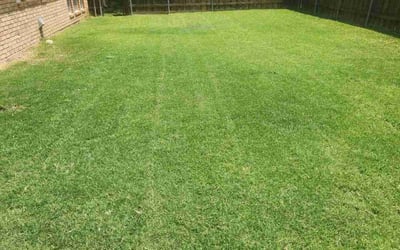 Photo of Chris F.'s yard after getting lawn care in Lancaster, TX