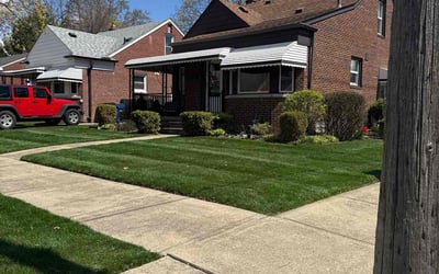 Photo of Kim W.'s yard after getting lawn care in Hamtramck, MI