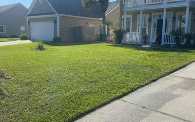 Photo of Lisa J.'s yard after getting lawn care in Charleston, SC