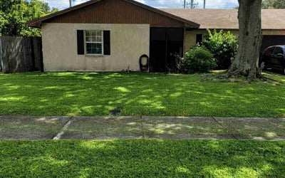 Photo of Mike M.'s yard after getting lawn care in Frostproof, FL