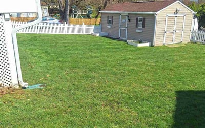 Photo of Gia N.'s yard after getting lawn care in Catonsville, MD