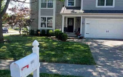 Photo of Alex M.'s yard after getting lawn care in Logan, OH