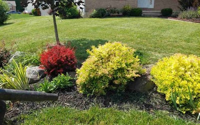 Photo of Doris and Jerry N.'s yard after getting lawn care in Xenia, OH