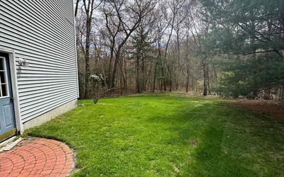 Photo of Francesca R.'s yard after getting lawn care in Attleboro, MA
