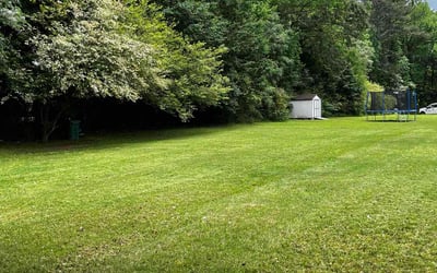 Photo of Kirby C.'s yard after getting lawn care in Jonesboro, GA