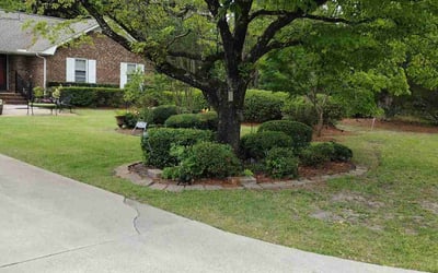 Photo of Melissa P.'s yard after getting lawn care in Wilmington, NC
