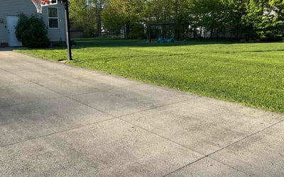 Photo of Argie G.'s yard after getting lawn care in Clearwater, FL