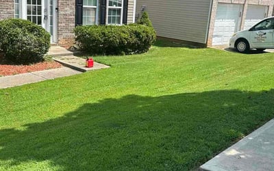 Photo of chet B.'s yard after getting lawn care in Snellville, GA