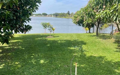 Photo of Ashraf S.'s yard after getting lawn care in Port St. Lucie, FL