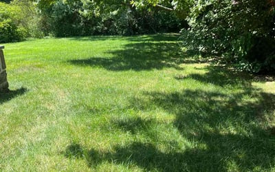 Photo of Dorian A.'s yard after getting lawn care in Scarsdale, NY