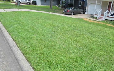 Photo of Ramona S.'s yard after getting lawn care in Greensboro, NC