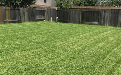 Photo of Kaanador F.'s yard after getting lawn care in Paterson, NJ
