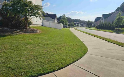 Photo of Frances E.'s yard after getting lawn care in Andover, KS