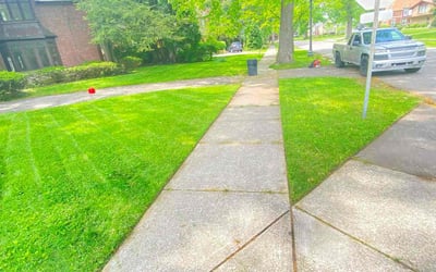 Photo of Daryl S.'s yard after getting lawn care in Hamtramck, MI