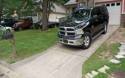 Photo of Tina F.'s yard after getting lawn care in St. Petersburg, FL