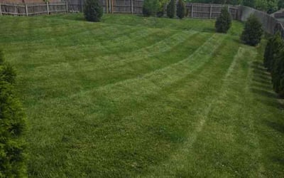 Photo of Frances C.'s yard after getting lawn care in Raytown, MO