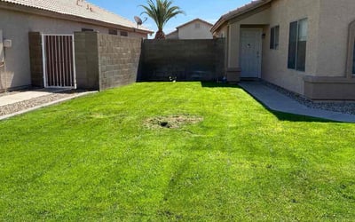 Photo of Addison R.'s yard after getting lawn care in Peoria, AZ