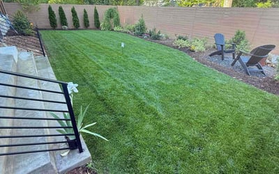 Photo of Raymond R.'s yard after getting lawn care in Raleigh, NC