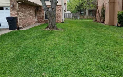 Photo of Lance T.'s yard after getting lawn care in Belleville, IL