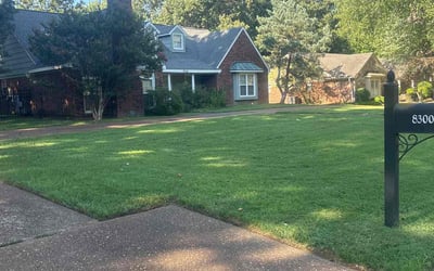 Photo of Deborah J.'s yard after getting lawn care in Germantown, TN