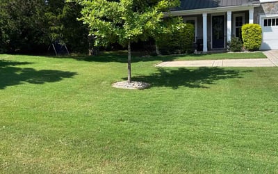 Photo of Penny c.'s yard after getting lawn care in Mount Pleasant, NC