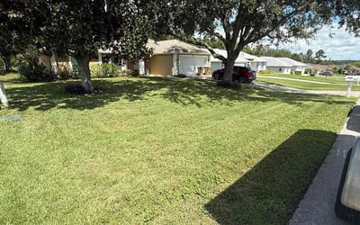 Photo of Teresa G.'s yard after getting lawn care in Ladson, SC