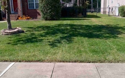 Photo of Jeanette H.'s yard after getting lawn care in Smithfield, VA