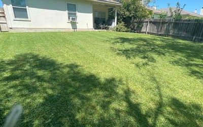 Photo of Brittany A.'s yard after getting lawn care in Buda, TX